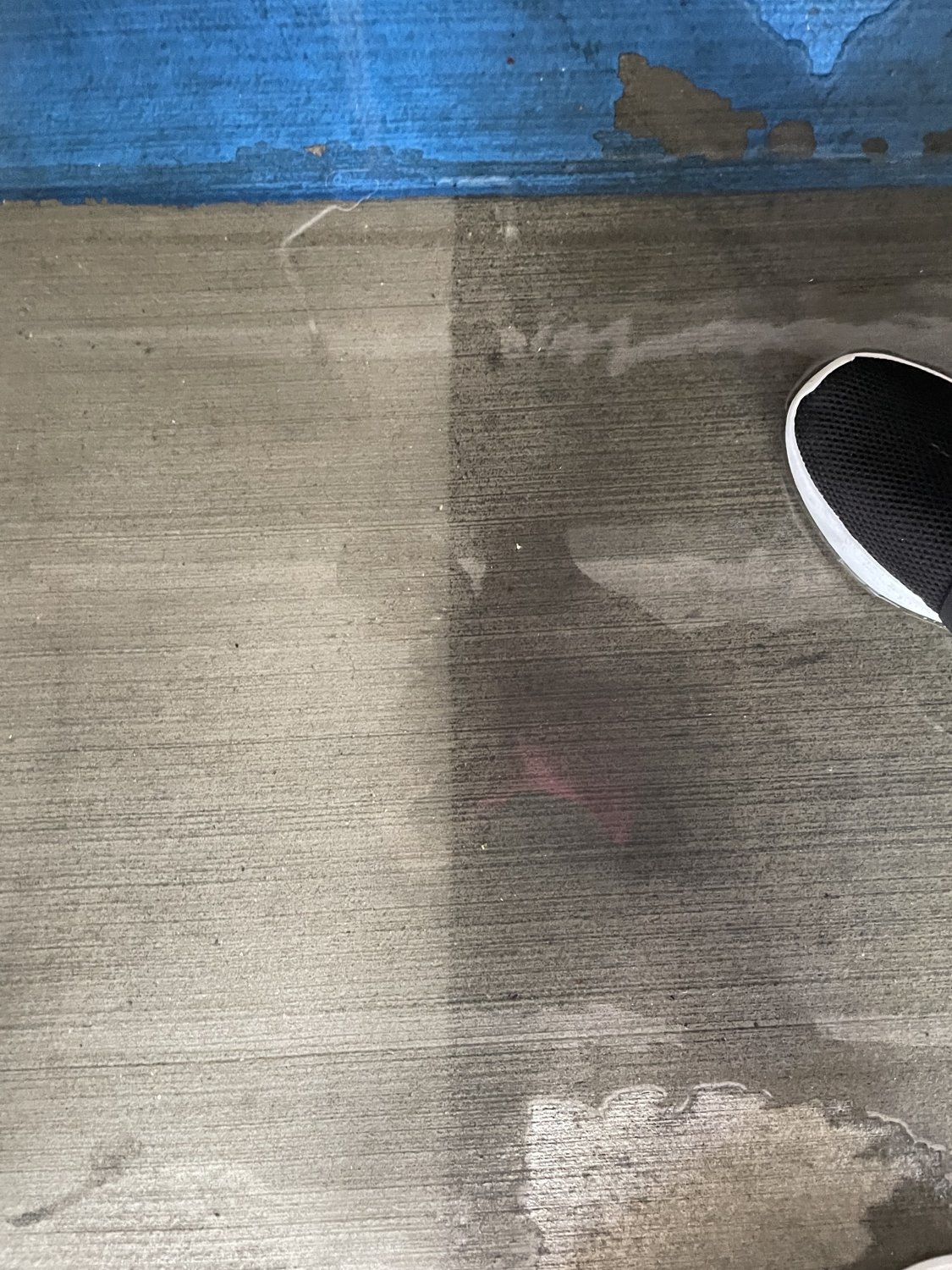 Exterior surface cleaning